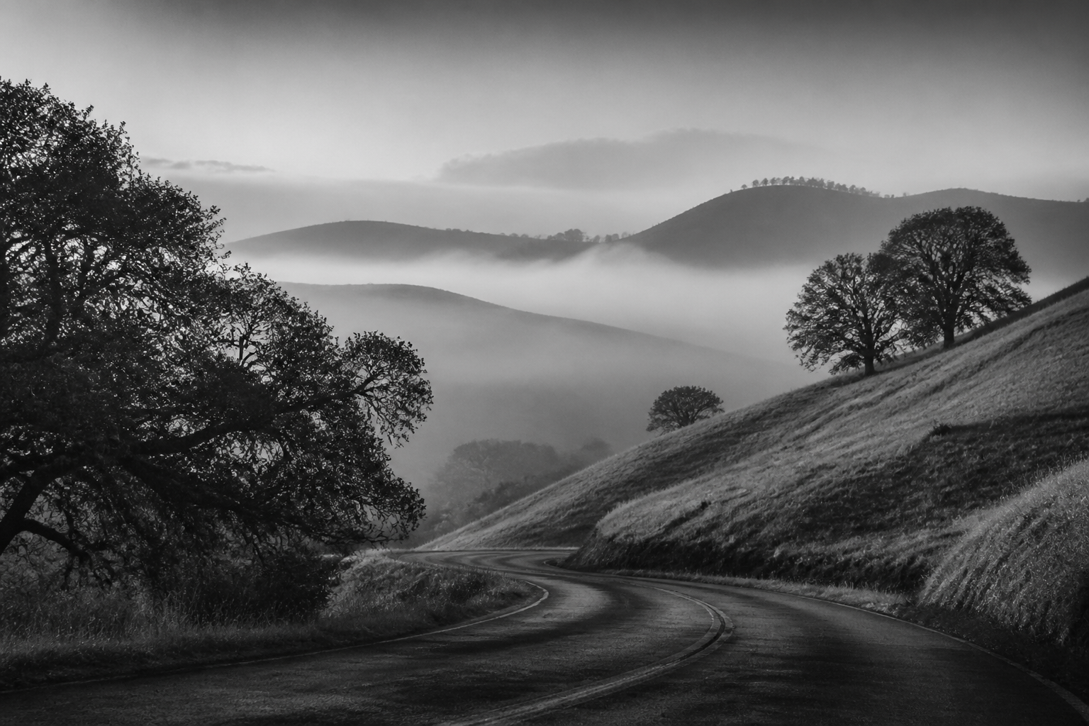 Fog in the hills of Sonoma County.